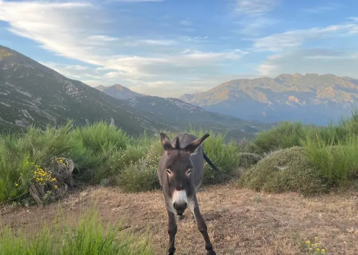 Landhuis Relais - U Machjonu Tolla