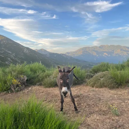 Lantställe Relais - U Machjonu Tolla