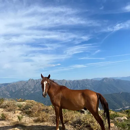 Relais - U Machjonu Tolla