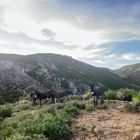 Relais - U Machjonu Tolla