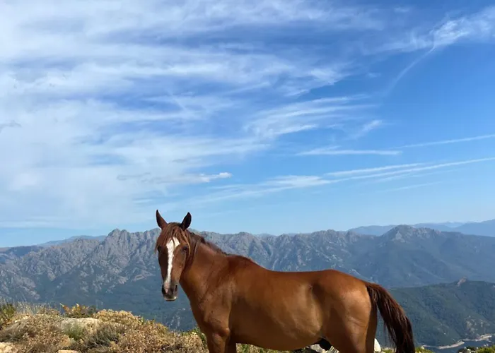 Relais - U Machjonu Tolla