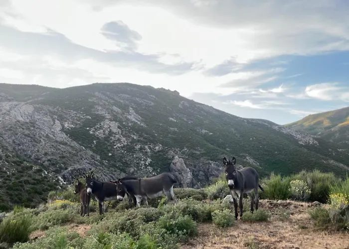 Relais - U Machjonu Tolla
